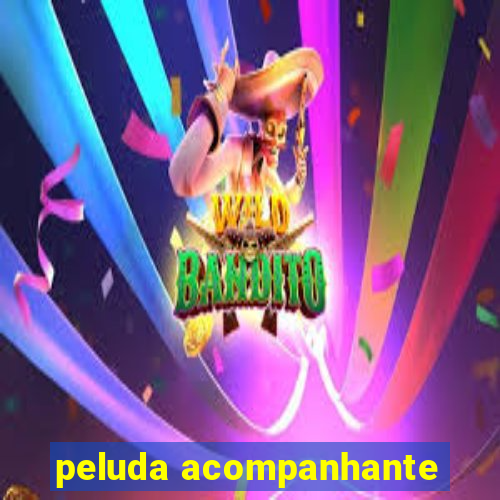 peluda acompanhante